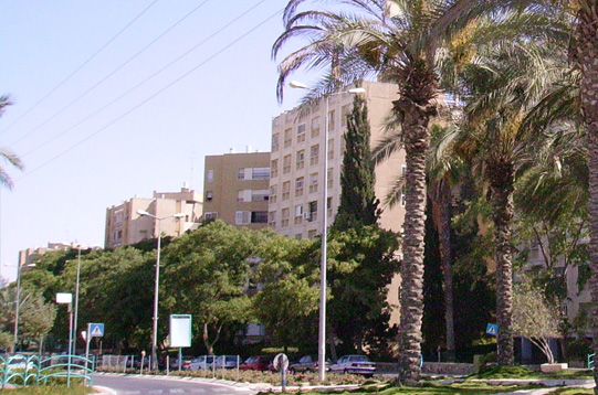 arad_08